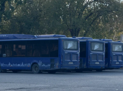 В Астрахани временно изменили четыре маршрута из-за ограничений на Старом мосту