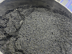 Двух астраханцев осудят за незаконный оборот ценных видов рыб