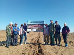 Землям Астраханской области вернут зелень: принимаются меры против опустынивания