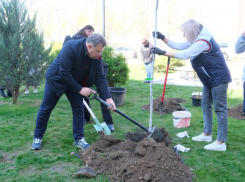 Жителей Астрахани позвали принять участие во Всероссийском субботнике