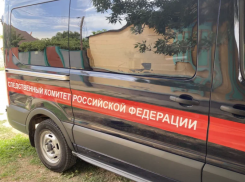 Астраханские налоговые инспекторы подозреваются в служебных подлогах