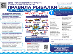 В Астраханской области введут нерестовый запрет: что это значит