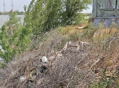Несколько лет жители поселка под Астраханью настаивают на очистке береговой зоны от свалки