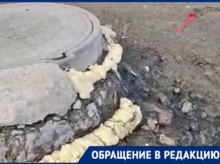 Астраханцы из дома № 15 корпус 1 на Белгородской страдают от нашествия блох 