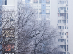 21 ноября на Астраханскую область может обрушиться снег