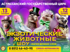 В Астраханском цирке пройдет фееричное шоу «Магия великих слов»