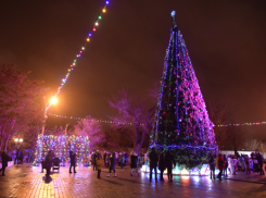 22 декабря в Астрахани зажгут огни главной елки