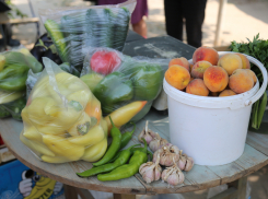 В Астрахани для дачников выделили места