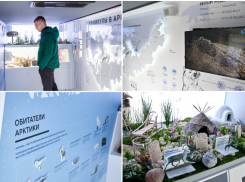 С 13 по 17 мая астраханцев ждут в чудо-автобусе на «Каникулы в Арктике»