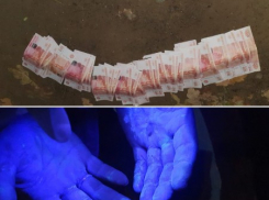 Астраханских полицейских подозревают во взяточничестве за покрывание браконьера