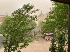 Александр Алымов призвал разобраться в ситуации с отсутствием штормового оповещения о буре астраханцев 