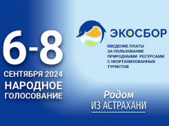 Астраханцы смогут проголосовать за экосбор на выборах губернатора