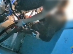 Астраханец совершил кражу и втянул в нее своего друга