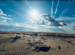 В Красноярском районе Астраханской области обнаружили большой очаг опустынивания