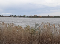 Астраханская область отстояла снижение сбросов с Волжской ГЭС для спасения рыбы