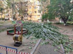 На семилетнюю астраханку упало дерево на детской площадке