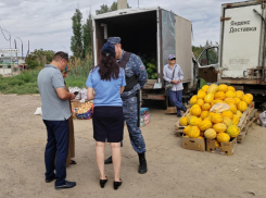 В Астрахани на продавцов составили 90 протоколов за незаконную торговлю