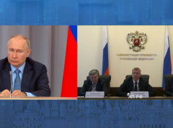Игорь Бабушкин доложил Владимиру Путину о ходе реализации «Великого Волжского пути»
