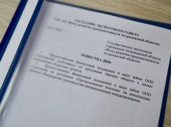 Двум астраханским промпредприятиям одобрили многомиллионную господдержку