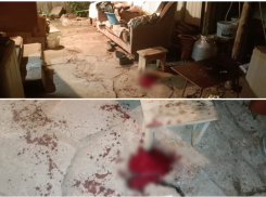 Астраханка вонзила в грудь мужа шампур за неправильный шашлык