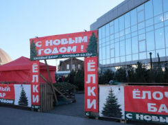 На елочные базары Астрахани привезли российские и зарубежные деревья