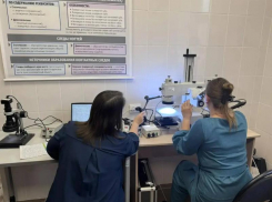 В Астрахани открыли центр судебных экспертиз для будущих и действующих экспертов