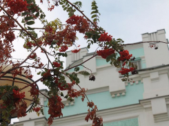 Прогноз погоды, именины, праздники в Астрахани 3 ноября