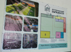 Для 1000 бездомных собак откроют приют в Астрахани