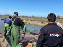 В Астраханской области береговая охрана спасла 22,5 тысячи рыб