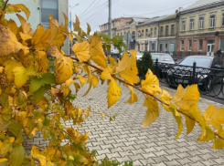 На астраханском рынке труда наступил высокий осенний сезон