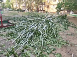 В деле маленькой девочки, погибшей в Астрахани от дерева, новый поворот