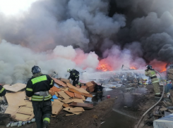 На окраине Астрахани 49 огнеборцев тушат пожар на 3,5 тысячи «квадратов»