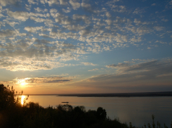 В Астраханской области выловили и продали очень редкую рыбу, жившую в древние времена