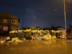 С улицы Безжонова 157 в Астрахани регоператор снова не вывез мусор