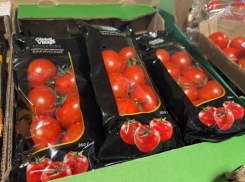 Банк России: активность астраханских сельхозпредприятий поддерживает спрос