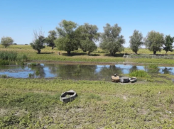 Астраханская область запросила финансирования мероприятий по очистке воды