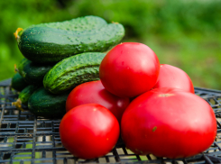 В субботу в Астрахани пройдет сельскохозяйственная ярмарка