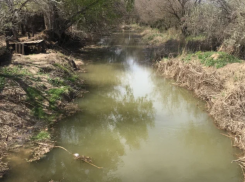 Жалобы жителей астраханского села на плохое водоснабжение дошли до главы СКР