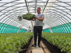 Игорь Бабушкин: астраханские овощи и рыбу полюбили в России и за ее пределами