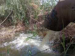 Власти Астрахани будут 4 месяца качать воду в ерик Солянка 