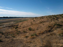 Астраханская область подготовила 200 земельных участков для льготников