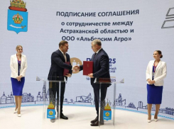 В Астраханской области будут создавать корма из люцерны по уникальной технологии