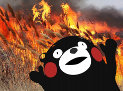 В Астраханской области камыш будут сжигать во благо детей