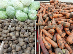 В Астраханской области замедлилась инфляция: спасибо аграриям