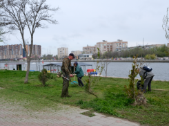 Астраханские скверы и парки готовят к сезону прогулок и празднованию 9 Мая