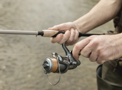 Двух сбивших полицейского браконьеров, посадили в колонию, третьего ещё судят