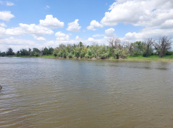 В Астраханской области мужчина спас чужого ребенка ценой собственной жизни