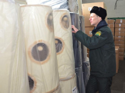 Астраханские таможенники проверили 8 тонн необычного груза, следовавшего из Тбилиси в Волгоград