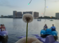 Прогноз погоды, именины, праздники в Астрахани в понедельник 19 июня