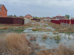 В Астраханской области суд обязал администрацию Приволжского района провести рекультивацию загрязненных земель